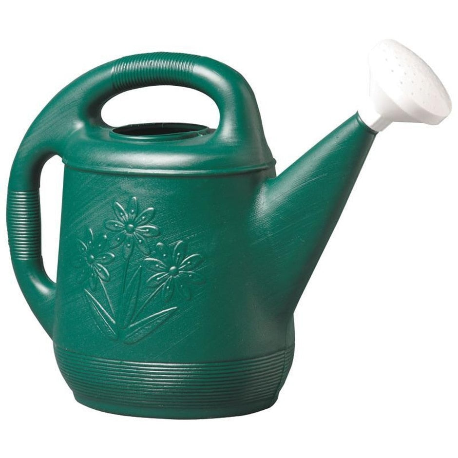 green plastic watering can for a fake chinese rubber plant PLASTIC WATERING CAN - Littleton, MA