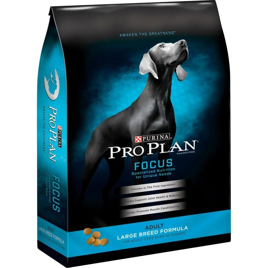 best dog food border collie mix purina pro plan Purina Pro Plan Focus Adult Large Breed Formula Dry Dog Food - Littleton,  MA