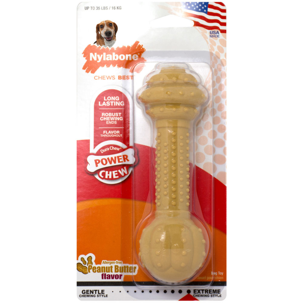 Nylabone Dura Chew Dog Bone - Peanut Butter Flavor (Regular)