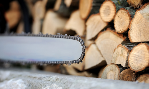 A close up of the blade and chain of a chainsaw.
