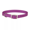 Coastal Pet Products Coastal Single-Ply Dog Collar Orchid 3/4 x 18