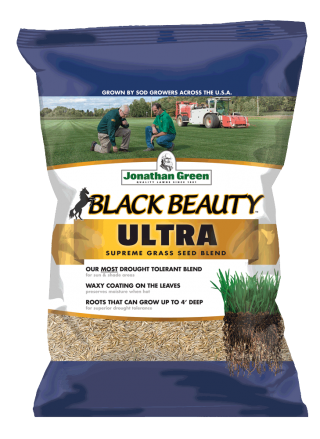 Jonathan Green Black Beauty Ultra All Grasses Sun or Shade Grass Seed 3 lb - Thumbnail 3