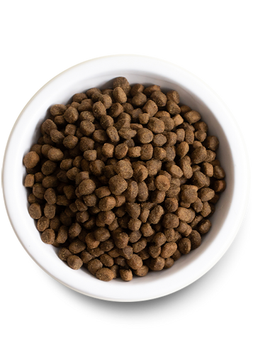 Open Farm Pasture-Raised Lamb & Ancient Grains Dry Dog Food