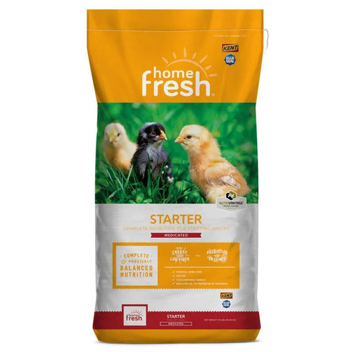 Blue Seal Home Fresh Starter Meal AMP