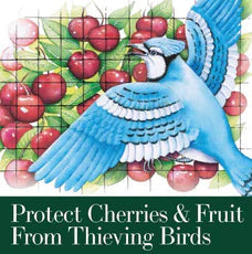 Dalen BIRD-X Protective Black Mesh Netting For Fruit Trees & Berry Bushes