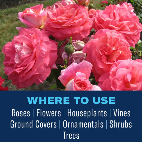 BIOADVANCED All-In-One Rose & Flower Spray Concentrate