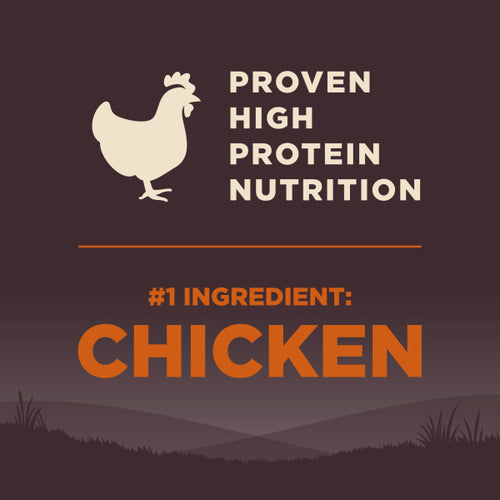 Wellness CORE Grain Free Large Breed Chicken Recipe