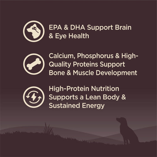 Wellness CORE Large Breed Puppy Dog Food