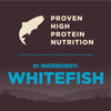 Wellness CORE Natural Grain Free Ocean Whitefish, Herring & Salmon Recipe Dry Dog Food
