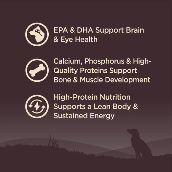 Wellness CORE Grain Free Natural Puppy Chicken Recipe Dog Food