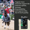 Nutrena® ProForce® Fuel Horse Feed