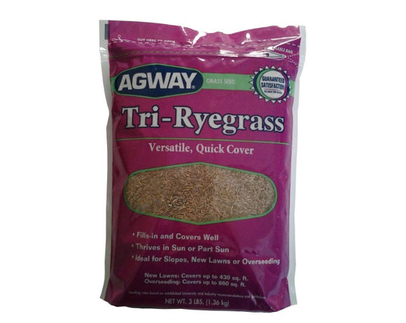 Agway Tri-ryegrass Mixture