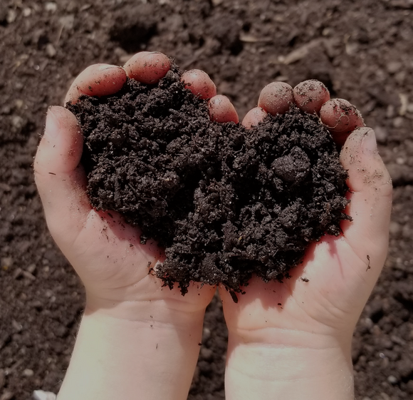 Black Earth Compost