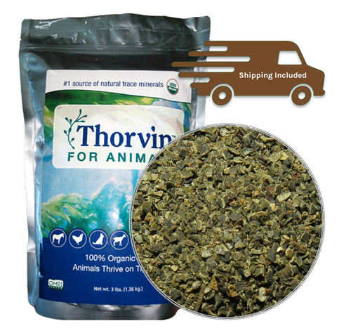 New Country Organics Organic Thorvin Kelp
