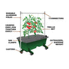EarthBox Staking System