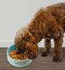 Ethical Pet Spot Portofino Dish Dog Sky Blue