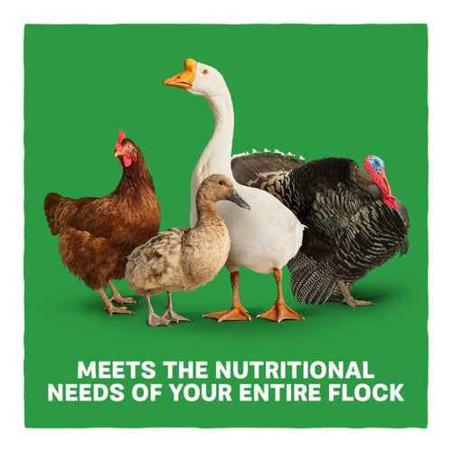 Blue Seal Home Fresh Multi-Flock Starter/Grower Pellets