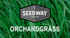 Seedway Orchard Grass Trailburst 25lb