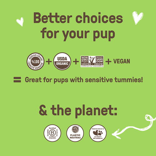 Cookie Pal Pumpkin & Chia Biscuits Dog Treats