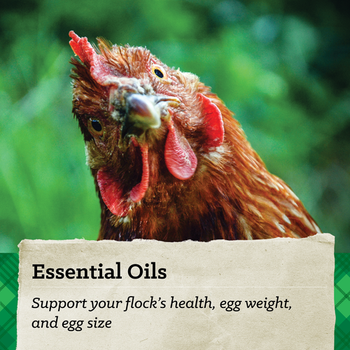 NatureWise® 17% Protein Layer Pellet Poultry Feed