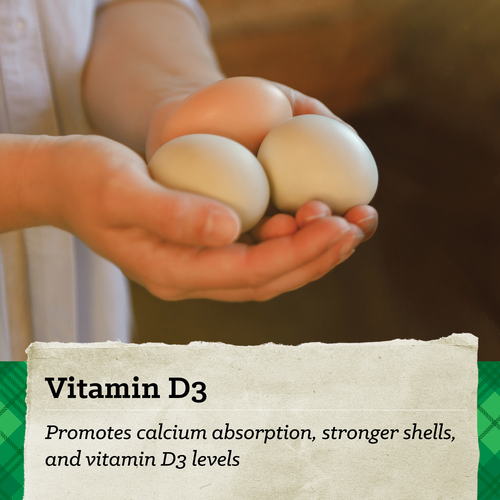 NatureWise® 17% Protein Layer Pellet Poultry Feed