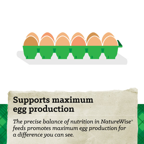 NatureWise® 17% Protein Layer Pellet Poultry Feed