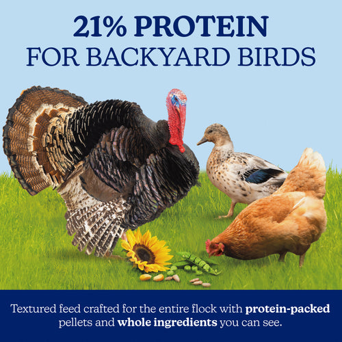 Nutrena® NatureWise® Harvest Blend All Flock 21% Protein Textured Feed