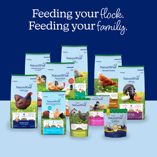 Nutrena® NatureWise® Harvest Blend All Flock 21% Protein Textured Feed