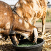 Standlee Grazlee Alfalfa Power Pellets