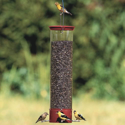 Classic Brands Droll Yankees® Yankee Dipper® Squirrel-Proof Bird Feeder