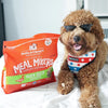 Stella & Chewy's Freeze Dried Duck Duck Goose Meal Mixers