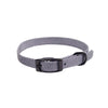 Hamilton Single Thick Buckle Collars with Gunmetal Finish