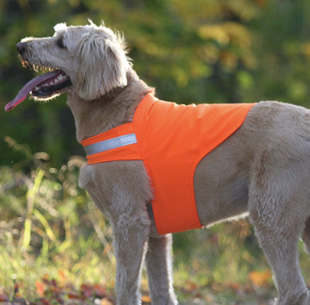 Dogs Not Gone No Fly Zone Repellant Safety Dog Vest
