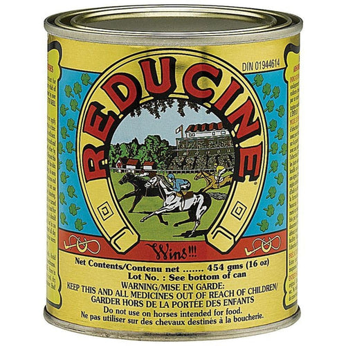 REDUCINE ABSORBENT EQUINE LINIMENT FOR HORSES